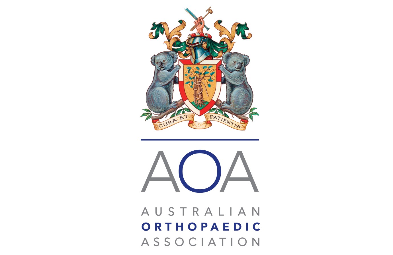 Australian Orthopaedic Association